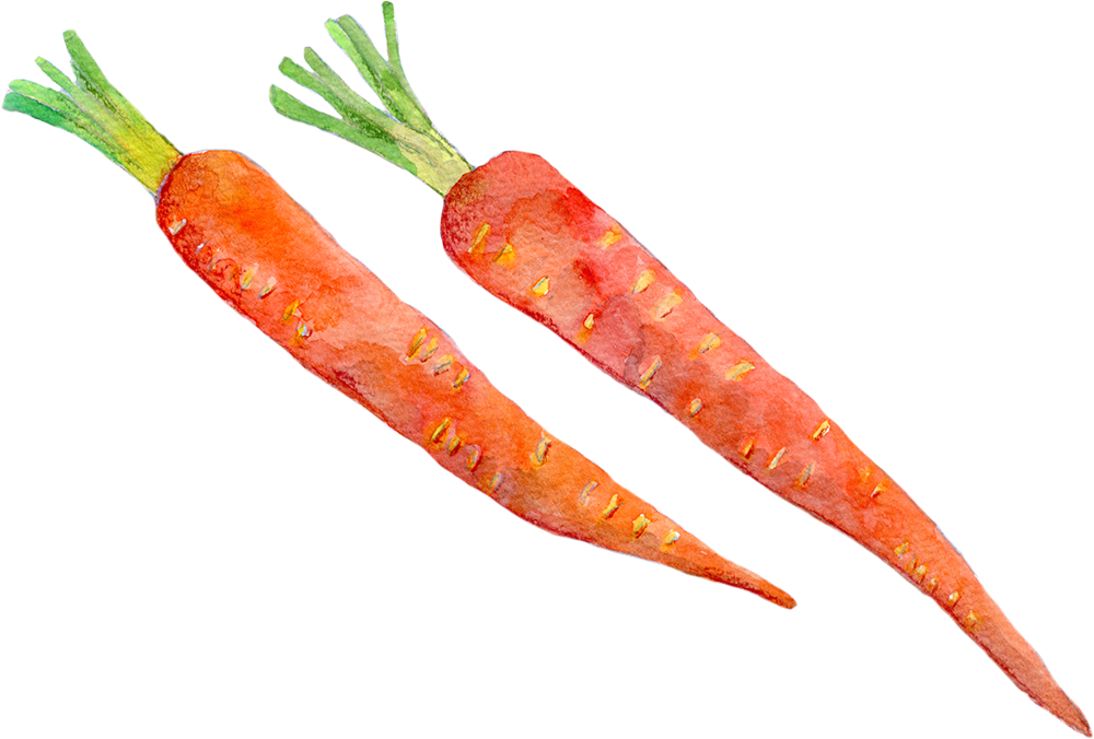 国府の野菜